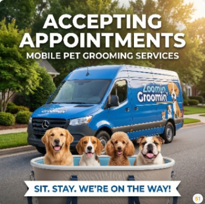 Mobile Pet Grooming — Accepting Appointments